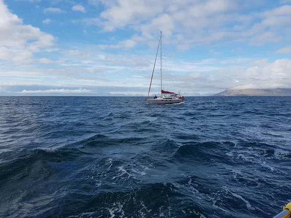 Ovni 445 della Boreal Yachting a Longyearbyen