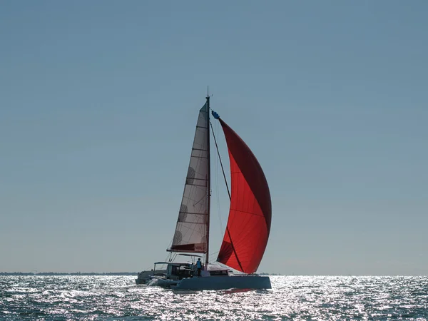 Neel 43 from Open Sail in La Rochelle