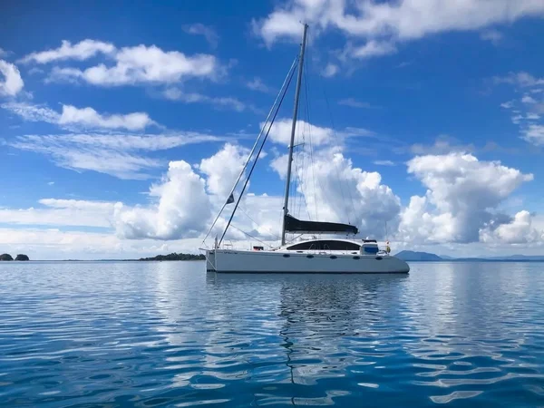 DH 550 von Top Catamaran in Victoria
