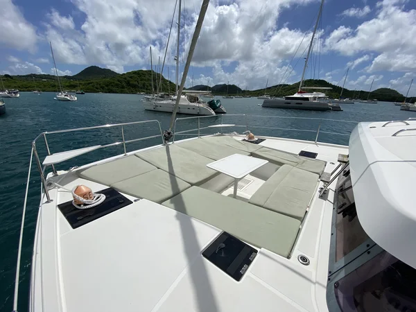 Bali Catsmart della Seacaline in Martinica