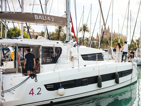 Bali 4.2 van Aldebaran Charter Company in Ibiza
