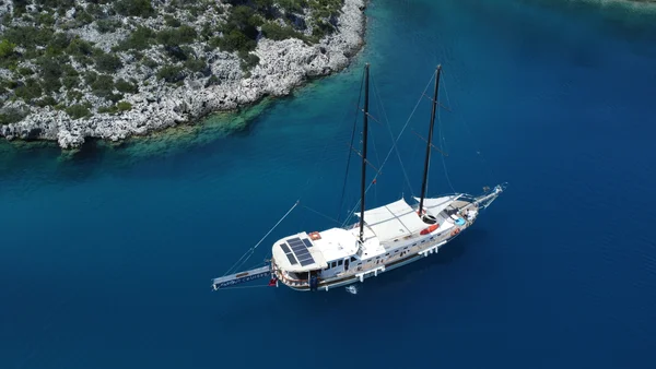 Balu from Farout Yachting in Fethiye