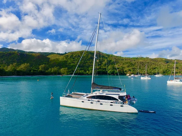Sea-Tribe DH550 af Top Catamaran i Victoria