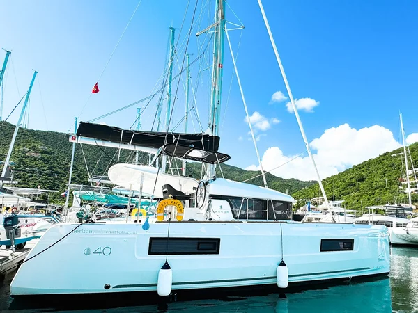 Lagoon 40 de Horizon Yacht Charters en Nanny Cay
