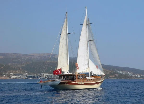 Remo van Bodrumtour in Bodrum