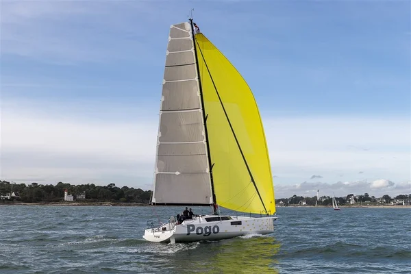Pogo 44 from Sail Fast Roses in Portocolom